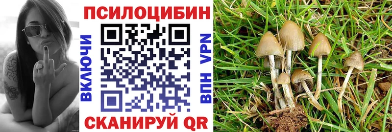 Галлюциногенные грибы Psilocybe  Балашиха 